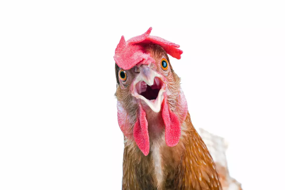 OMG Egg Prices Are Still Outrageous In North Dakota