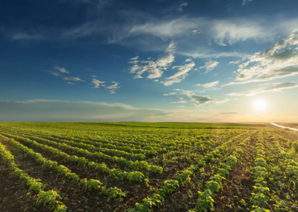 Froid Research Farm Field Day is June 22