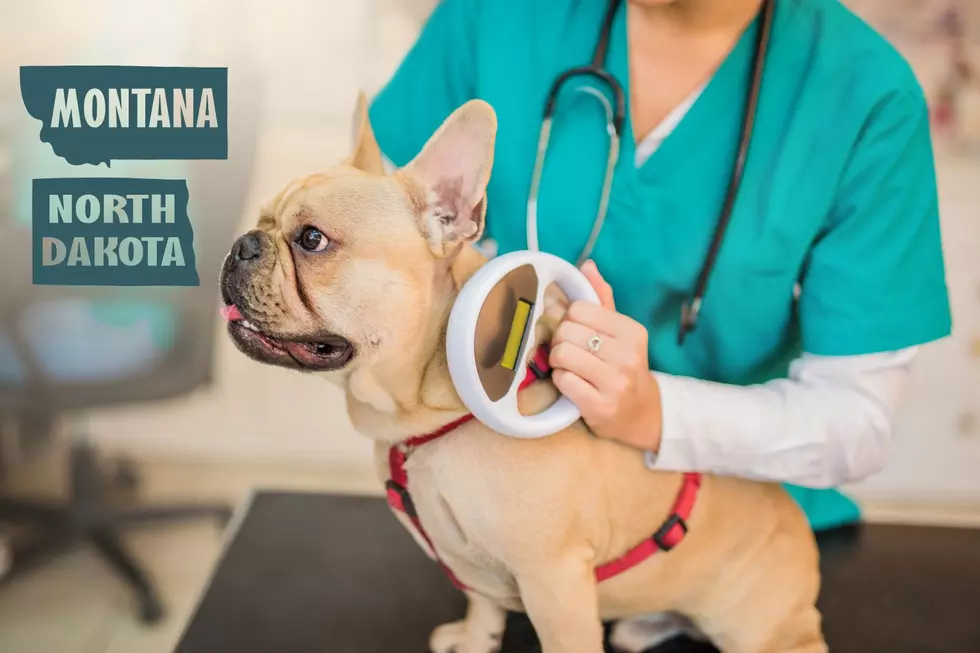 North Dakota & Montana: Microchip Alert for Pet Owners!